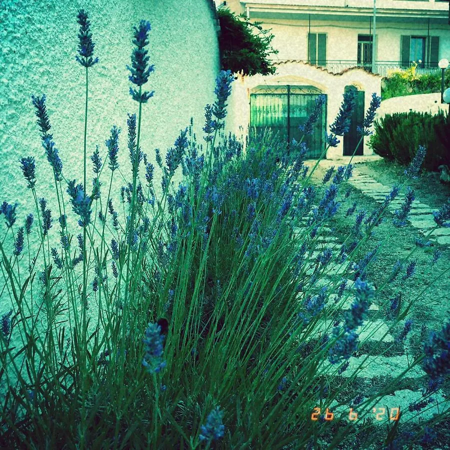 Casa Sui Tetti Bed & Breakfast Ozieri
