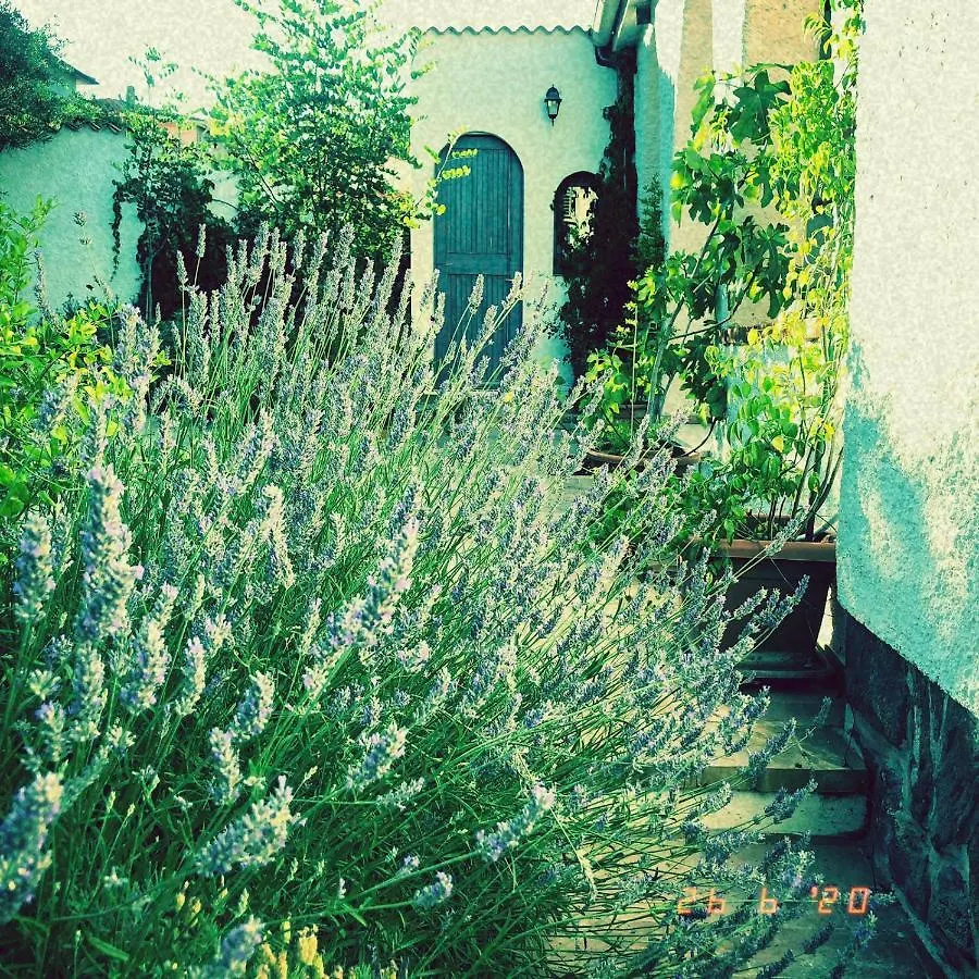 Casa Sui Tetti Bed & Breakfast Ozieri Italy